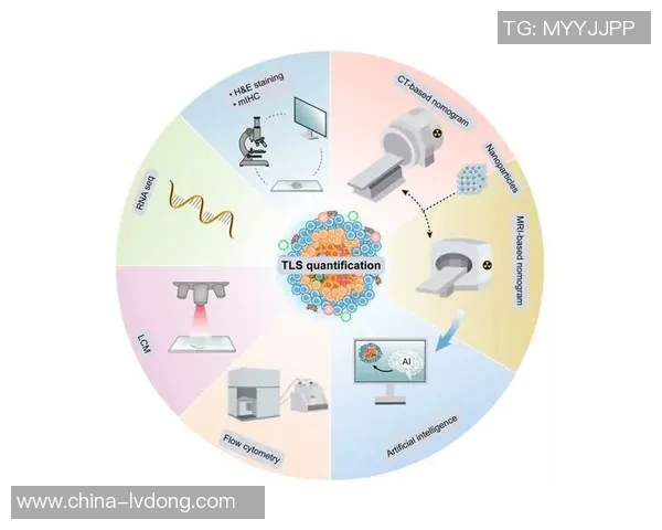 小罗勇闯科技世界，探索未来创新与人工智能的无限可能